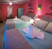 Hotel Casona de las Flores hotel detail image 4