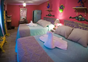 Hotel Casona de las Flores hotel thumbnail 4