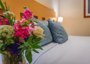 Hotel Mirabel hotel thumbnail 8