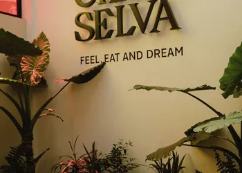 Hotel Cielo y Selva, San Cristobal de las Casas hotel thumbnail 4