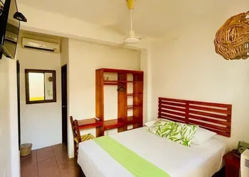Hotel Casa de la Palma Bed and Breakfast hotel thumbnail 5
