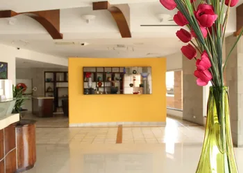 Hotel Colonial Hermosillo hotel thumbnail 5