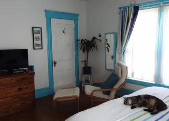 The One Cat B&B hotel thumbnail 6