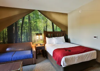 Great Wolf Lodge Atlanta / LaGrange, GA hotel thumbnail 7