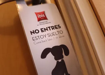 ibis San Luis Potosi hotel thumbnail 8