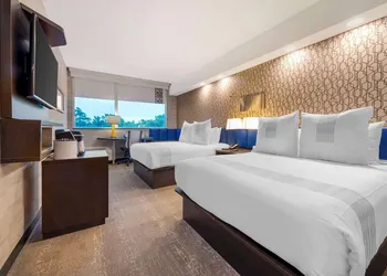 GLō Best Western Kanata Ottawa West hotel thumbnail 4