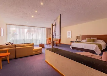 Camino Real Polanco Mexico hotel thumbnail 5