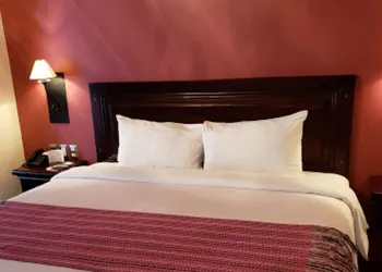 Hotel Alameda Centro Historico hotel thumbnail 6