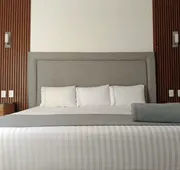 Hotel ZAR Guadalajara hotel detail image 7