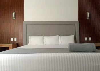 Hotel ZAR Guadalajara hotel thumbnail 7