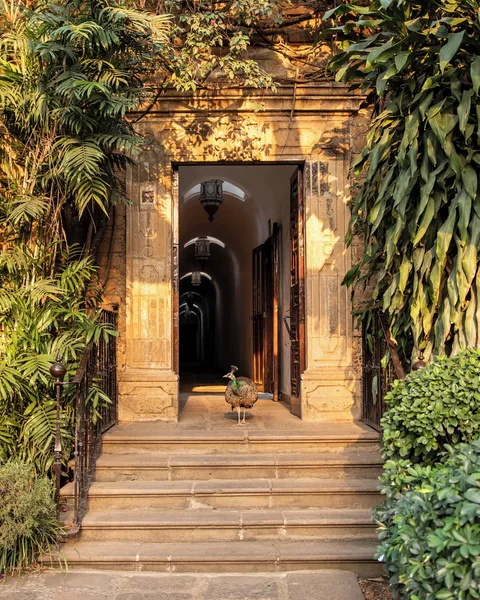 Las Mananitas Hotel Garden Restaurant and Spa hotel detail image 6