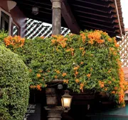 Las Mananitas Hotel Garden Restaurant and Spa hotel detail image 7
