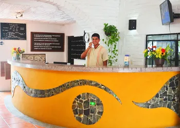 Hotel Hacienda de Vallarta Centro hotel thumbnail 5