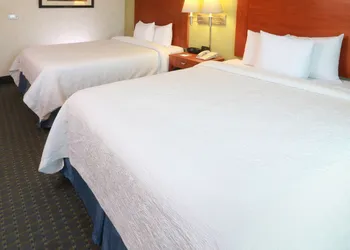 Hampton Inn by Hilton Reynosa/Zona Industrial hotel thumbnail 3