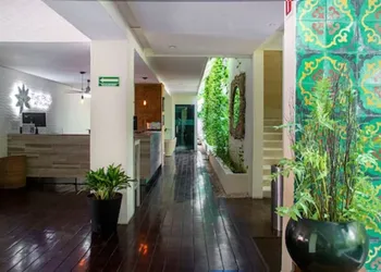 The Palm at Playa hotel thumbnail 2
