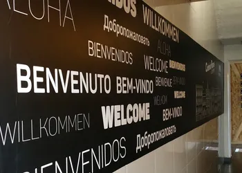 Hotel MX mas roma CDMX, Trademark Collection by Wyndham hotel thumbnail 2