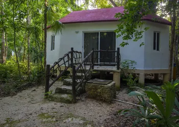 Jolie Jungle Eco Hotel hotel thumbnail 2