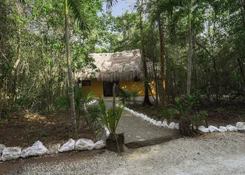 Jolie Jungle Eco Hotel hotel thumbnail 8
