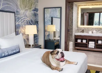 Hotel Indigo Flushing - LaGuardia by IHG hotel thumbnail 6