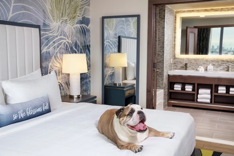 Hotel Indigo Flushing - LaGuardia by IHG hotel detail image 6
