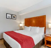 Comfort Inn & Suites hotel detail image 7