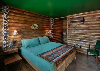 The Dive Motel & Swim Club hotel thumbnail 2
