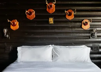 The Dive Motel & Swim Club hotel thumbnail 3