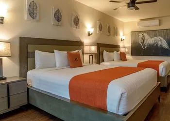 Entre Viñedos hotel thumbnail 8