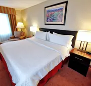 Holiday Inn Reynosa Zona Dorada by IHG hotel detail image 3