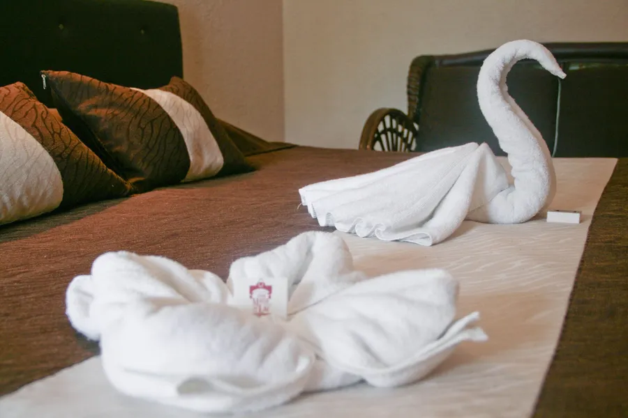 Hotel María de la Luz hotel detail image 6
