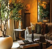 Olive Boutique Hotel, A Small Luxury Hotel of the World (Adults Only) hotel detail image 3