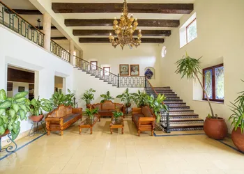 Mayaland Hotel & Bungalows hotel thumbnail 4