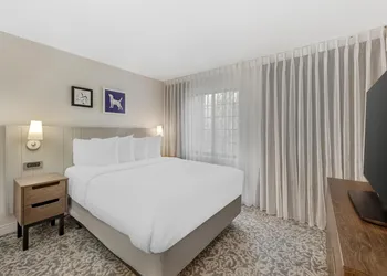 Sonesta ES Suites Austin The Domain Area hotel thumbnail 7