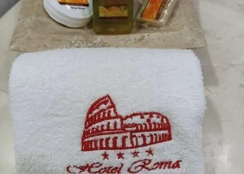 Hotel Roma Guadalajara hotel thumbnail 5