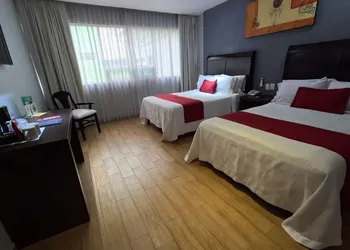 Hotel Roma Guadalajara hotel thumbnail 7