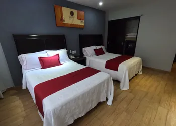 Hotel Roma Guadalajara hotel thumbnail 8