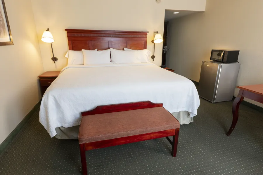 Hampton Inn by Hilton Guadalajara-Aeropuerto hotel detail image 6
