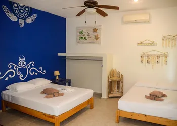 Villa Tortugas hotel thumbnail 3