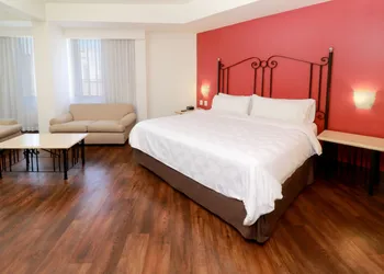 Holiday Inn Hotel & Suites Guadalajara-Centro Historico by IHG hotel thumbnail 5