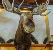Helmcken Falls Lodge hotel detail image 3