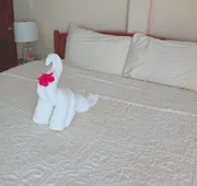 Hotel Delfin hotel detail image 5