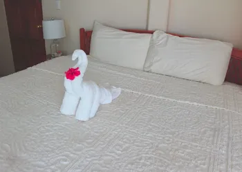 Hotel Delfin hotel thumbnail 5
