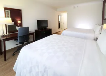 Holiday Inn Reynosa Industrial Poniente by IHG hotel thumbnail 4