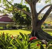 Copamarina Beach Resort & Spa hotel detail image 5