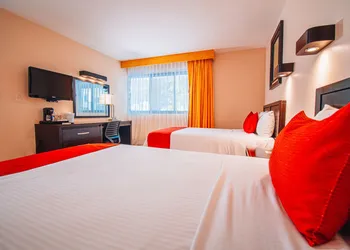 Eco City Hoteles hotel thumbnail 6
