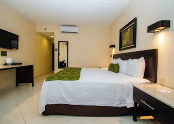 Eco City Hoteles hotel thumbnail 8