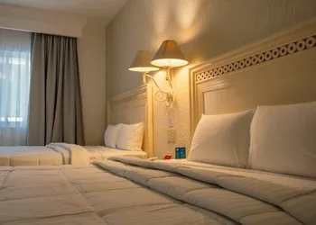 Hotel Maria Isabel hotel thumbnail 6