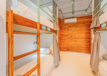 Mayan Monkey Isla Mujeres | Social Hotel hotel thumbnail 3