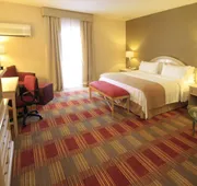 Holiday Inn Monclova by IHG hotel detail image 3
