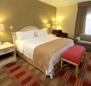 Holiday Inn Monclova by IHG hotel detail image 7